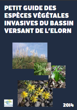 FireShot-Capture-2-Livret-plantes-invasives-elorn-by-Anna_-https___issuu.com_annaigpostec_docs.png