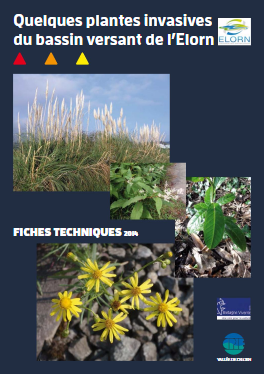 FireShot-Capture-3-Fiches-plantes-invasives-elorn-by-Anna_-https___issuu.com_annaigpostec_docs.png