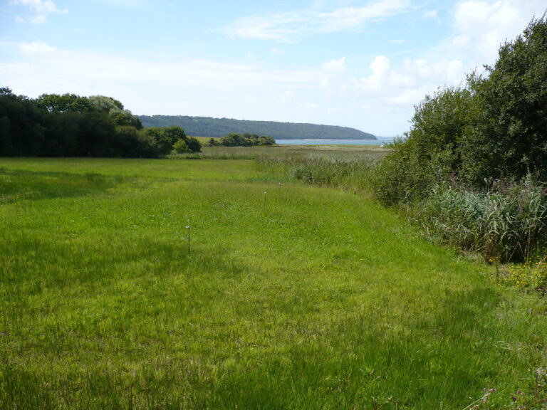 Zone humide littorale