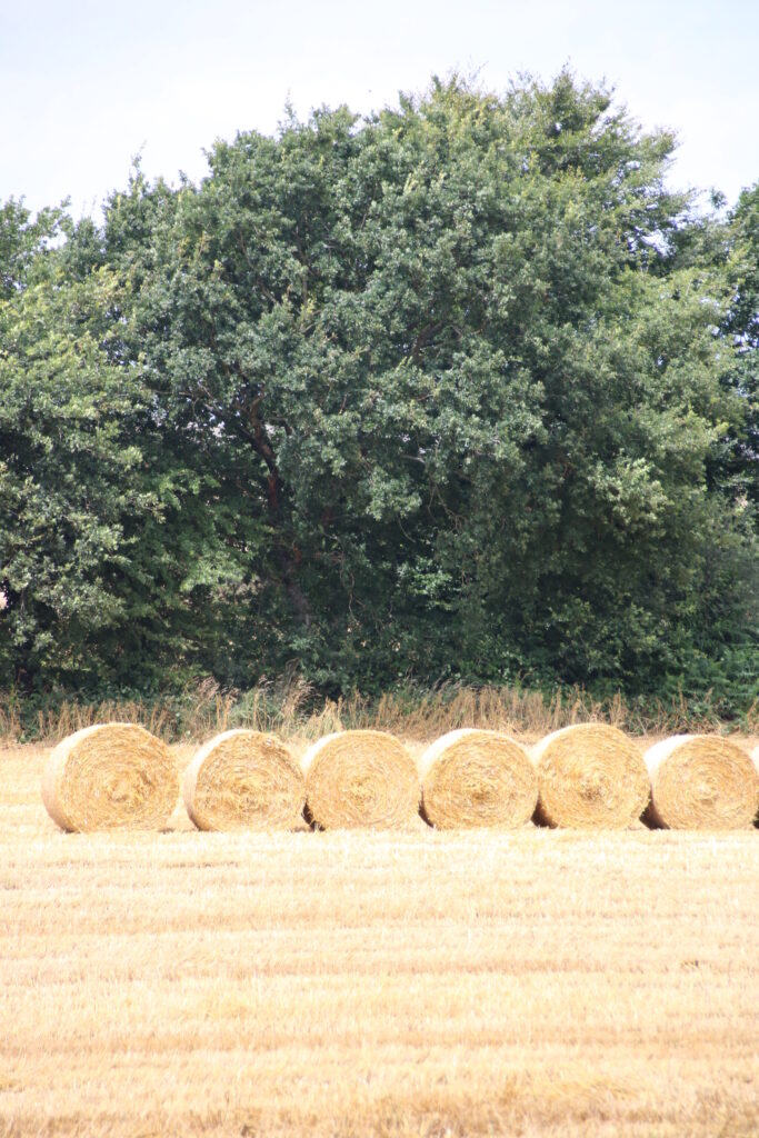 Round de paille