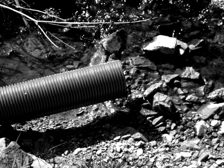 105 zh la martyre 19mars2014 18 blackwhite