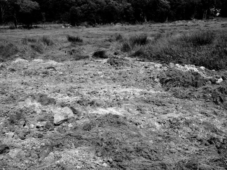 P5240023 blackwhite