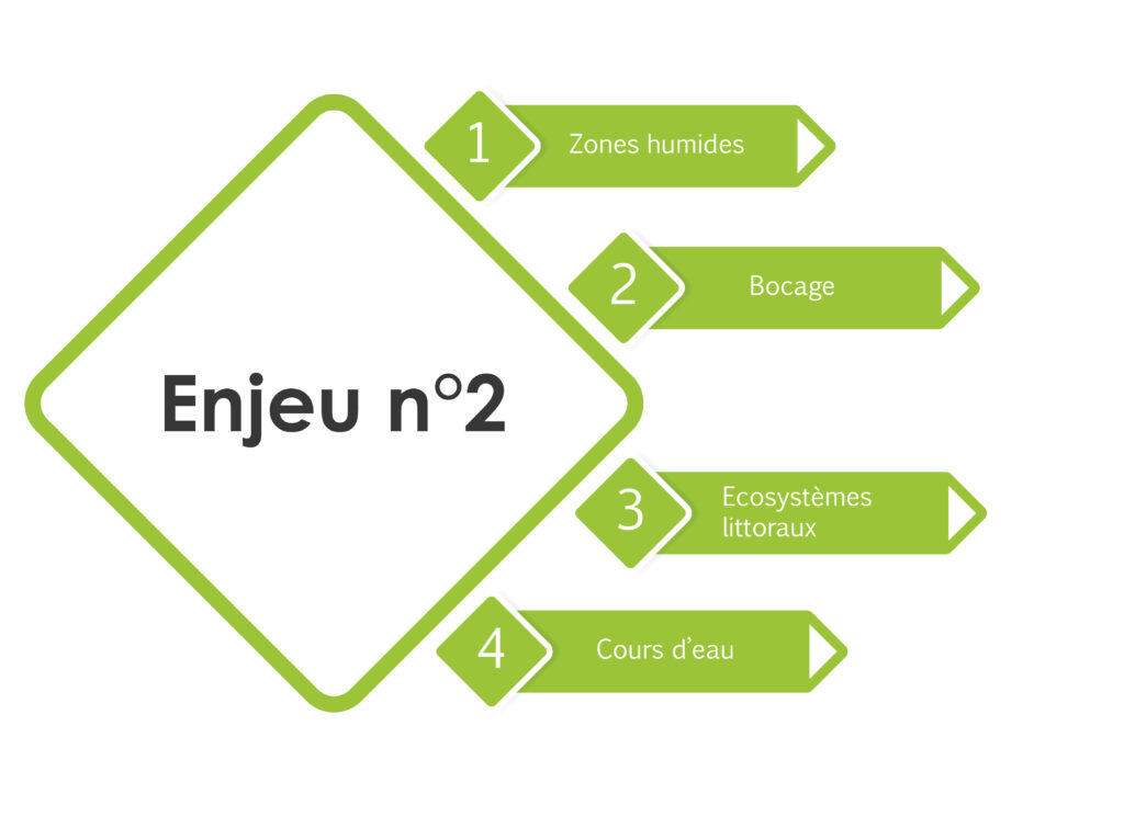 Formes site sbe enjeu2 06