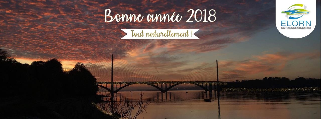 Bannière bonne année