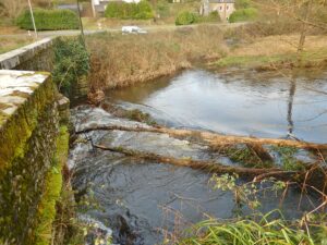 Arbres amont pont pont christ 29 1 18 (2)