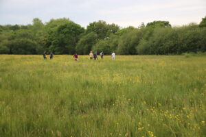 Prairie 5 abily (17)
