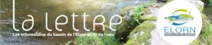 Newslet