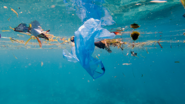 Un projet européen de 14 million d’euros pour lutter contre la pollution plastique !