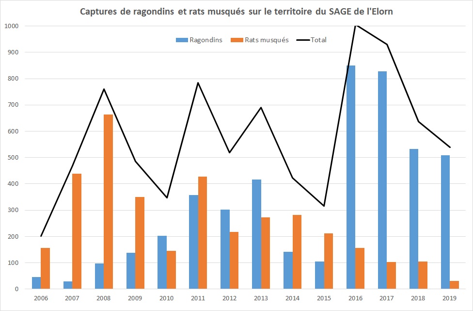 captures-annuelles-ragondins-rats-musqués.jpg