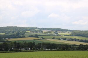 Bocage