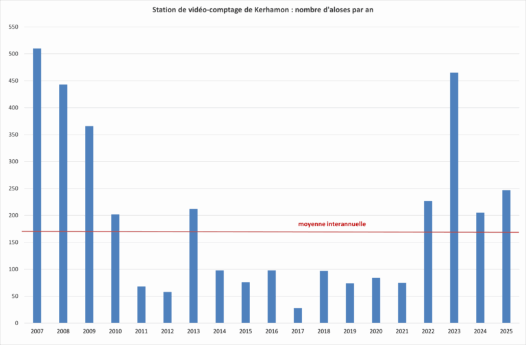 GRAPH ALOSES KERHAMON