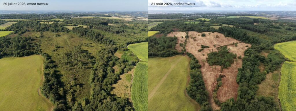 Chantier Cleusdrein 2026