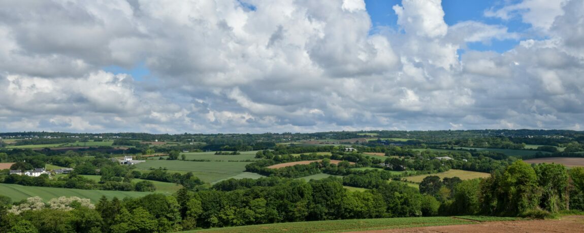 Panoramabocage