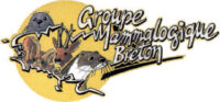 Logo du Groupe Mammologique Breton
