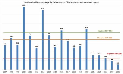 Graph saumon par an