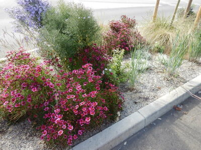 parterres landerneau sept 2016 (7)